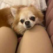 ヒメ日記 2026/04/03 09:07 投稿 ゆいな☆甘いロリカワ童顔女♪ 妹系イメージSOAP萌えフードル学園 大宮本校