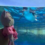 ヒメ日記 2026/04/14 08:34 投稿 ゆいな☆甘いロリカワ童顔女♪ 妹系イメージSOAP萌えフードル学園 大宮本校