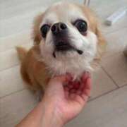ヒメ日記 2026/08/24 11:31 投稿 ゆいな☆甘いロリカワ童顔女♪ 妹系イメージSOAP萌えフードル学園 大宮本校