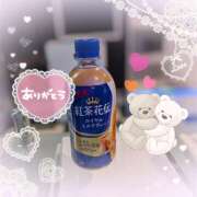 ヒメ日記 2026/02/19 20:52 投稿 篠田はづき 五十路マダム宇都宮店(カサブランカグループ)