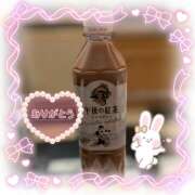 ヒメ日記 2026/03/20 23:56 投稿 篠田はづき 五十路マダム宇都宮店(カサブランカグループ)