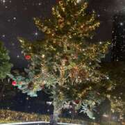 ヒメ日記 2024/12/09 23:15 投稿 まろ アロマエステ・メルト