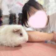 ヒメ日記 2025/09/10 13:02 投稿 さら アロマエステ・メルト