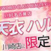 天衣ハル 限定出勤🎀ᩚ ニューハーフヘルスLIBE横浜店
