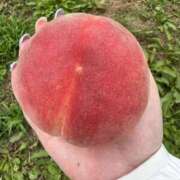 綾乃 ★月イチ出勤Dayです★ モアグループ所沢人妻城