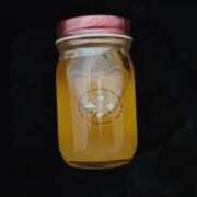 ヒメ日記 2025/12/14 16:34 投稿 あいり 新橋たっち（シンデレラグループ）