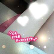 ヒメ日記 2025/11/14 21:08 投稿 さら リアル 日本橋店