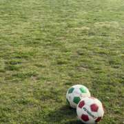 ヒメ日記 2025/05/10 06:00 投稿 ありさ ちゃんこ幕張店