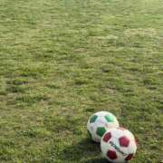 ヒメ日記 2025/12/14 13:12 投稿 ありさ ちゃんこ幕張店