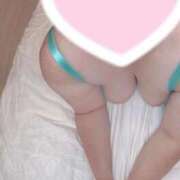 ヒメ日記 2025/12/23 19:00 投稿 ありさ ちゃんこ幕張店