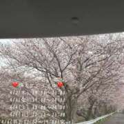 ヒメ日記 2026/04/01 09:00 投稿 ありさ ちゃんこ幕張店