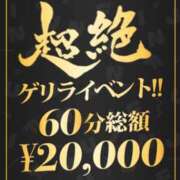 ヒメ日記 2024/02/19 17:03 投稿 こむぎ 風神会館新宿店