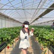 ヒメ日記 2025/03/25 22:34 投稿 ひな 泡の伝道師