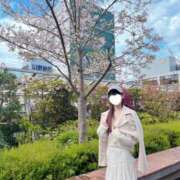 ヒメ日記 2025/04/07 12:44 投稿 ひな 泡の伝道師