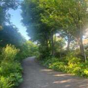 ヒメ日記 2025/06/13 21:24 投稿 ひな 泡の伝道師