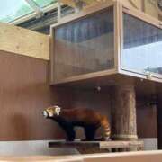 ヒメ日記 2025/06/25 15:54 投稿 ひな 泡の伝道師