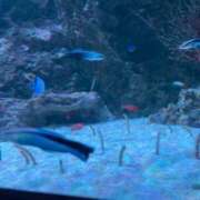 ヒメ日記 2025/07/07 14:54 投稿 ひな 泡の伝道師