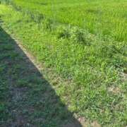 ヒメ日記 2025/08/14 12:24 投稿 ひな 泡の伝道師