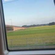 ヒメ日記 2025/08/28 19:14 投稿 ひな 泡の伝道師