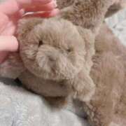 ヒメ日記 2025/12/05 15:05 投稿 ひな 泡の伝道師