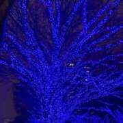 ヒメ日記 2025/12/25 16:54 投稿 ひな 泡の伝道師