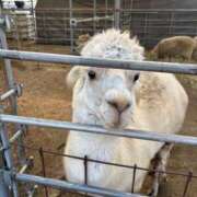 ヒメ日記 2026/02/23 15:34 投稿 ひな 泡の伝道師