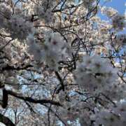 ヒメ日記 2026/03/28 20:54 投稿 ひな 泡の伝道師