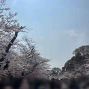 ヒメ日記 2026/03/31 17:44 投稿 ひな 泡の伝道師