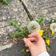 ヒメ日記 2026/04/15 11:34 投稿 ひな 泡の伝道師