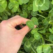 ヒメ日記 2026/04/22 11:14 投稿 ひな 泡の伝道師