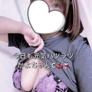 ヒメ日記 2025/04/03 10:05 投稿 かよ 熟女家 東大阪店（布施・長田）