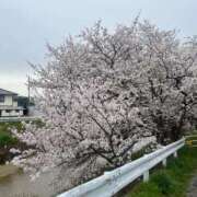 ヒメ日記 2025/04/08 09:25 投稿 かよ 熟女家 東大阪店（布施・長田）