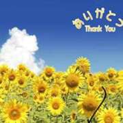 ヒメ日記 2025/08/10 07:15 投稿 かよ 熟女家 東大阪店（布施・長田）