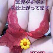 ヒメ日記 2025/09/09 09:25 投稿 かよ 熟女家 東大阪店（布施・長田）