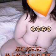 ヒメ日記 2025/09/17 08:49 投稿 かよ 熟女家 東大阪店（布施・長田）