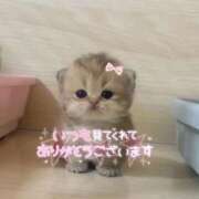 ヒメ日記 2025/11/02 10:00 投稿 しほ 渋谷とある風俗店♡やりすぎコレクション