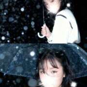 ヒメ日記 2025/12/29 13:00 投稿 しほ 渋谷とある風俗店♡やりすぎコレクション