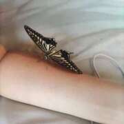 ヒメ日記 2024/12/05 10:05 投稿 ゆん SUZUME