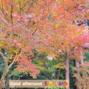 ヒメ日記 2024/12/14 11:48 投稿 みおり エレガンス(広島)