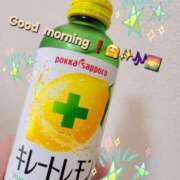 ヒメ日記 2024/12/17 11:03 投稿 みおり エレガンス(広島)