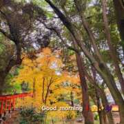 ヒメ日記 2024/12/27 10:00 投稿 みおり エレガンス(広島)