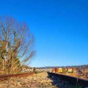 ヒメ日記 2025/01/04 07:08 投稿 みおり エレガンス(広島)