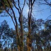 ヒメ日記 2025/03/11 18:48 投稿 みおり エレガンス(広島)