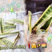 ヒメ日記 2025/03/24 07:08 投稿 みおり エレガンス(広島)