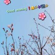 ヒメ日記 2025/03/24 20:58 投稿 みおり エレガンス(広島)