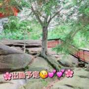 ヒメ日記 2025/03/25 09:28 投稿 みおり エレガンス(広島)