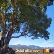 ヒメ日記 2025/03/26 12:09 投稿 みおり エレガンス(広島)