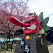 ヒメ日記 2025/03/29 20:28 投稿 みおり エレガンス(広島)