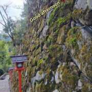 ヒメ日記 2025/03/30 14:38 投稿 みおり エレガンス(広島)