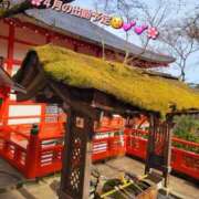 ヒメ日記 2025/03/31 08:18 投稿 みおり エレガンス(広島)